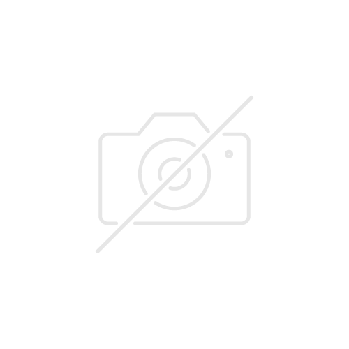 初の女性総理。